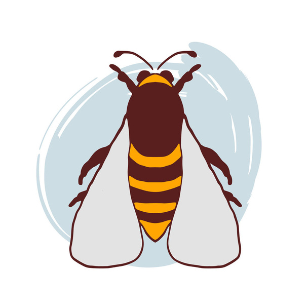 Vecteur d'abeilles gribouillis dessiné à la main
 - Vecteur, image