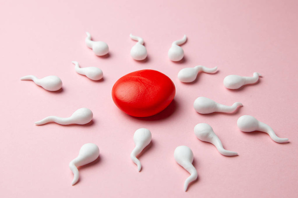 Les spermatozoïdes actifs nagent jusqu'à l'ovule sur un fond rose. Le concept de grossesse, fécondation de l'œuf
 - Photo, image