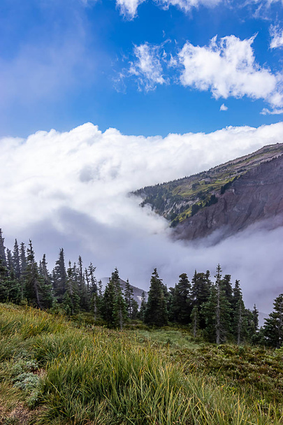 Vertikale Aufnahmen von Wolken und Berghang mit grünen Pflanzen bedeckt - Foto, Bild