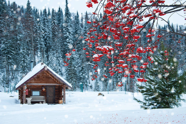 Winter holiday house in forest. - Photo, Image