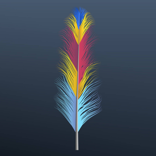 Blue red yellow feather icon, realistic style - Vector, Image