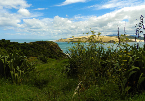 ホキアンガ川オマペレ、ニュージーランドの近くで風光明媚な展望から見たタスマン海 - 写真・画像