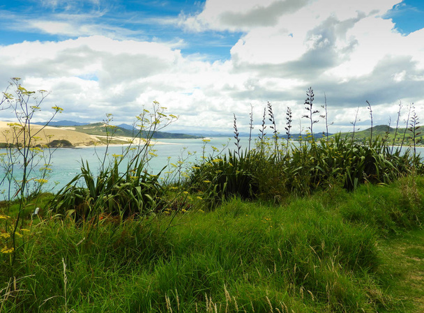 Hokianga Nehri yakınında Yeni Zelanda Omapere görünümünü - Fotoğraf, Görsel