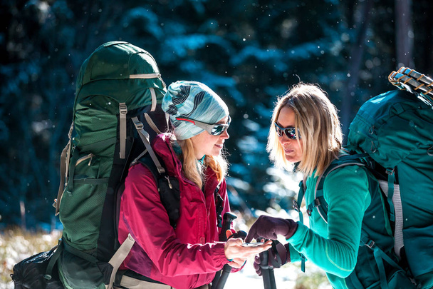 Two tourists look at the phone. Two friends travel together. Women with backpacks in the winter mountains. Winter hike. Walk through the snowy forest. Mobile communication and navigation. - Photo, Image