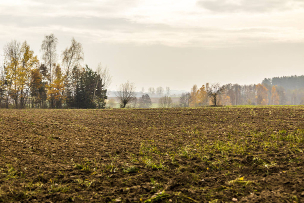 Late autumn.Plowed field in the foreground.Trees without leaves, yellow trees and forest in the background. Site about agriculture. Podlaskie, Poland. - Photo, Image