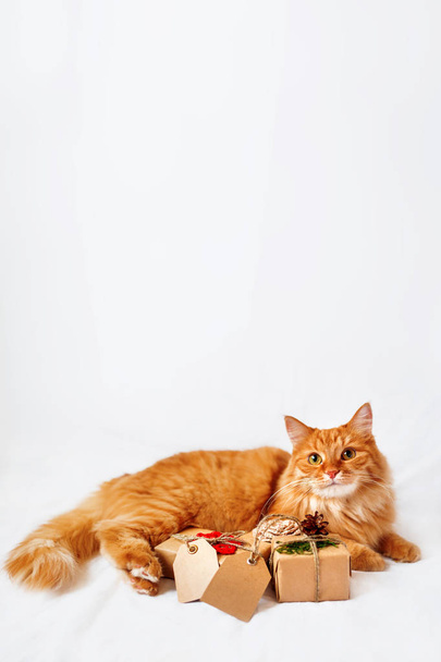 Cute ginger cat with stack of Christmas presents. New Year gifts are wrapped in craft paper and have clear tags for your text. - Foto, Imagen