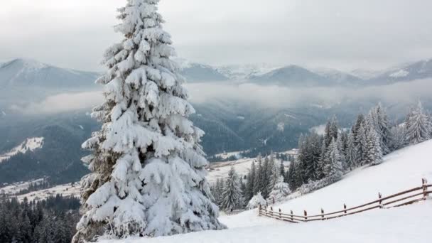 mountains in winter. Rural landscape. Happy New Year. frozen very beautiful trees. Winter tale. - Footage, Video