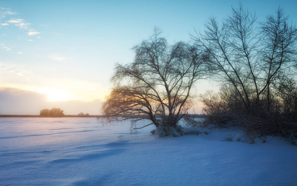 Gyönyörű téli táj, a befagyott tó, fák és napnyugtakor ég - Fotó, kép
