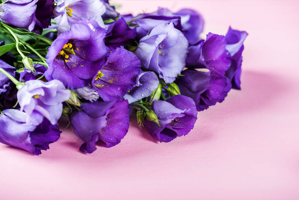 Kaunis kimppu Purple Eustoma kukkia, Lisianthus, vaaleanpunainen tausta
 - Valokuva, kuva