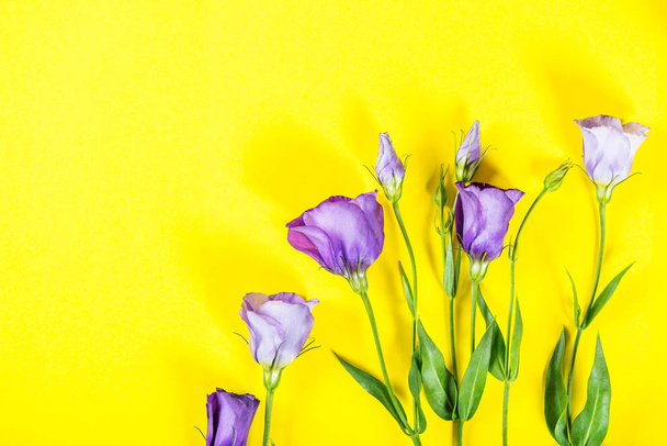 Beau Bouquet de fleurs d'Eustoma pourpre, Lisianthus, fond jaune vif
 - Photo, image