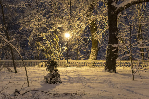 Bela paisagem noturna de inverno no Parque Mariinsky. Kiev, Ucrânia
 - Foto, Imagem
