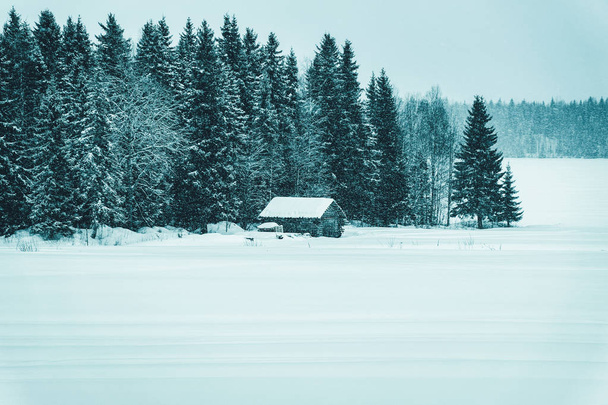 Eski evde Lapland Noel Finlandiya'da karlı kış - Fotoğraf, Görsel