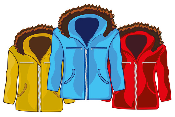 Three winter male jackets of the varied colour - Вектор,изображение