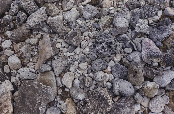 Textuur van poreuze fossiele stenen typisch voor de Maya Rivièra in Mexico. - Foto, afbeelding