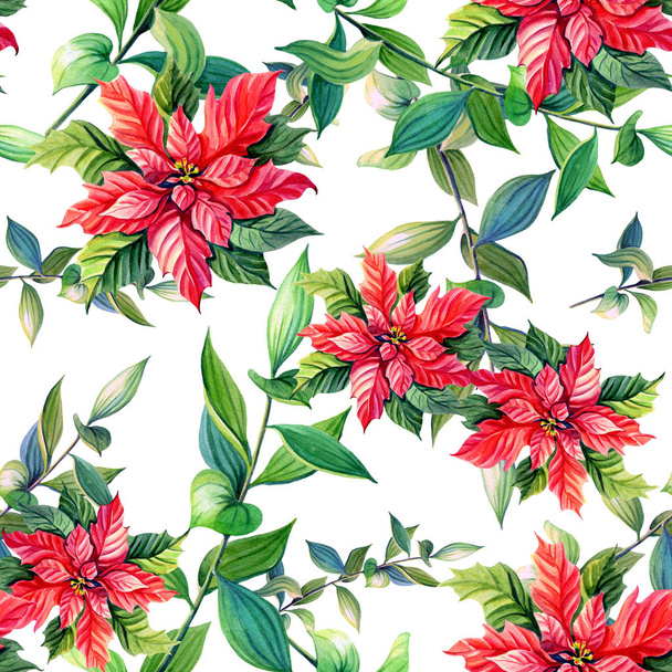 Watercolor poinsettia, green twig on a white background. Christmas star greeting card.Seamless pattern.Illustration for the New year. - Valokuva, kuva
