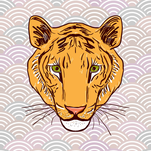 虎の頭スケッチ灰色の背景の抽象的なラウンド要素で描画します。スケール ベージュ ブラウン グレー オレンジ シンプル自然アジア波円のパターンです。ベクトル図 - ベクター画像