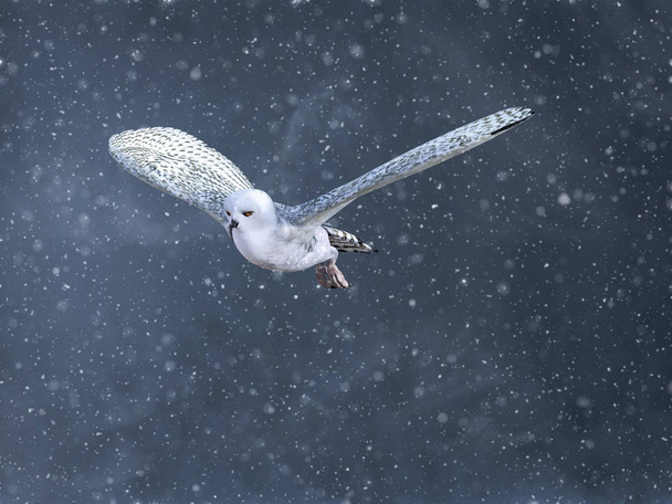 kışın karlı havalarda tarafından çevrili bir uçan kar baykuş 3D render. - Fotoğraf, Görsel