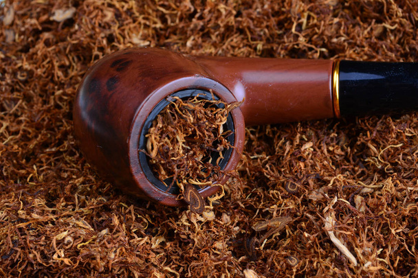 ξύλινο σωλήνα στο σωρό των φύλλων ψιλοκομμένο αποξηραμένα καπνού - Φωτογραφία, εικόνα