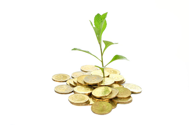 Finanzwachstumskonzept, Goldmünze auf weißem Hintergrund stapeln - Foto, Bild