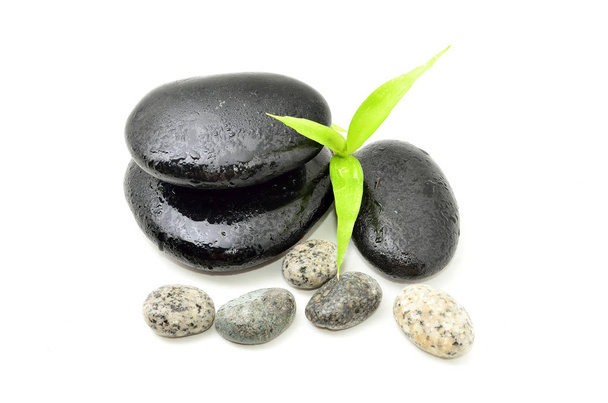 Πέτρα Zen με φύλλα μπαμπού σε άσπρο φόντο. Έννοια του Spa - Φωτογραφία, εικόνα