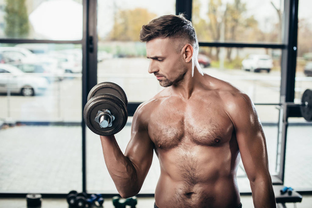 guapo sin camisa musculoso deportista entrenamiento con mancuerna en el gimnasio
  - Foto, Imagen