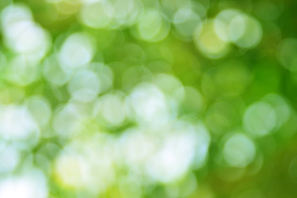 Естественный зеленый размытый фон - Фото, изображение