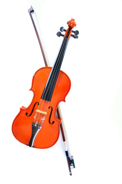 白い背景のバイオリン - 写真・画像