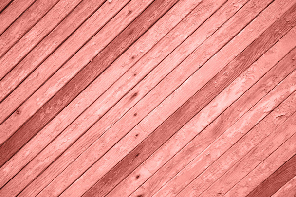 old wood texture close-up beige and brown board. living coral - Photo, image