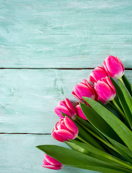 tulipanes rosados sobre superficie de madera turquesa
 - Foto, imagen
