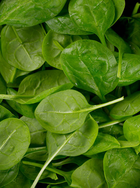 fresh spinach leaves, closeup view - Φωτογραφία, εικόνα