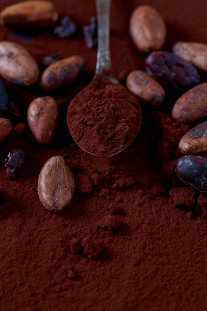 cocoa beans and powder  - Foto, afbeelding