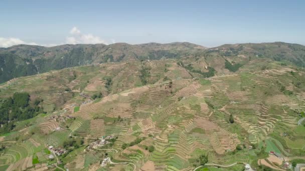 Terreni agricoli in una provincia montana Filippine, Luzon - Filmati, video