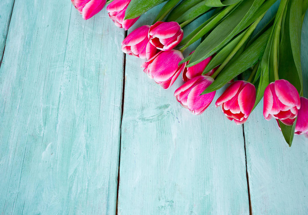 pink tulips on turquoise wooden surface - 写真・画像