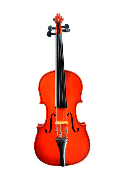 βιολί σε λευκό φόντο - Φωτογραφία, εικόνα
