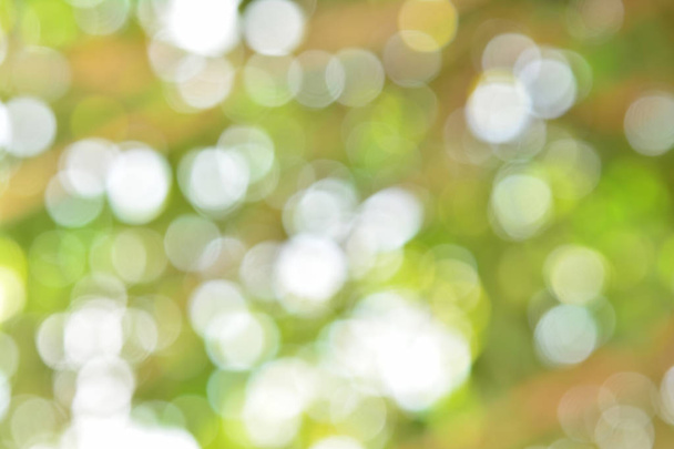 Natural green blurred background - Photo, Image