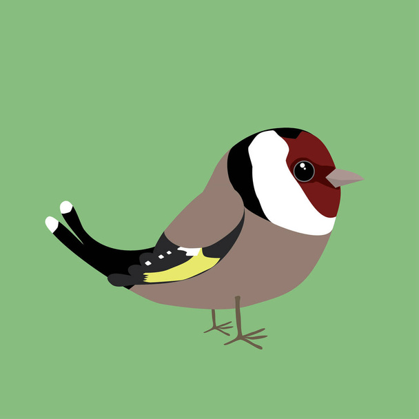A goldfinch comic illustration - Vector, Image