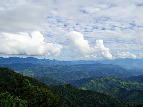 der grüne berg, wald mit wolke und himmel in nan provinz, thailand - Foto, Bild