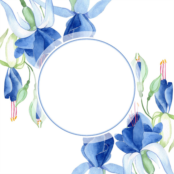 Fuchsia bleu. Fleur botanique florale. Aquarelle dessin mode aquarelle isolé. Cadre bordure ornement carré
. - Photo, image