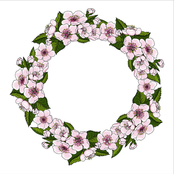 Ένα καταπράσινο στεφάνι από ροζ λουλούδια της κερασιάς και φωτεινά πράσινα φύλλα κεράσι σε λευκό φόντο. Φυσικό γύρος πλαισίων κειμένου. Το σύμβολο της άνοιξης. Εικονογράφηση διάνυσμα. - Διάνυσμα, εικόνα