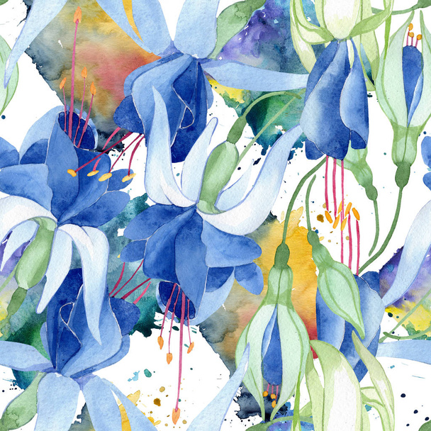 Blue fuchsia. Floral botanical flower. Watercolour drawing fashion aquarelle isolated. Seamless background pattern. - Photo, Image