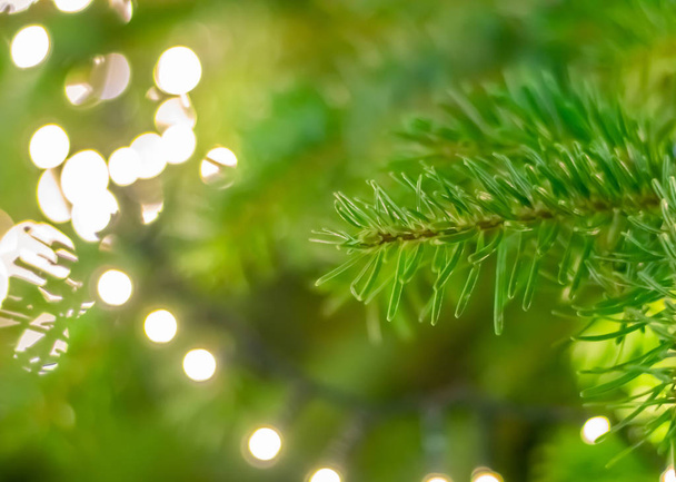 Primo piano di un albero di Natale con luci brillanti, messa a fuoco selezionata
 - Foto, immagini
