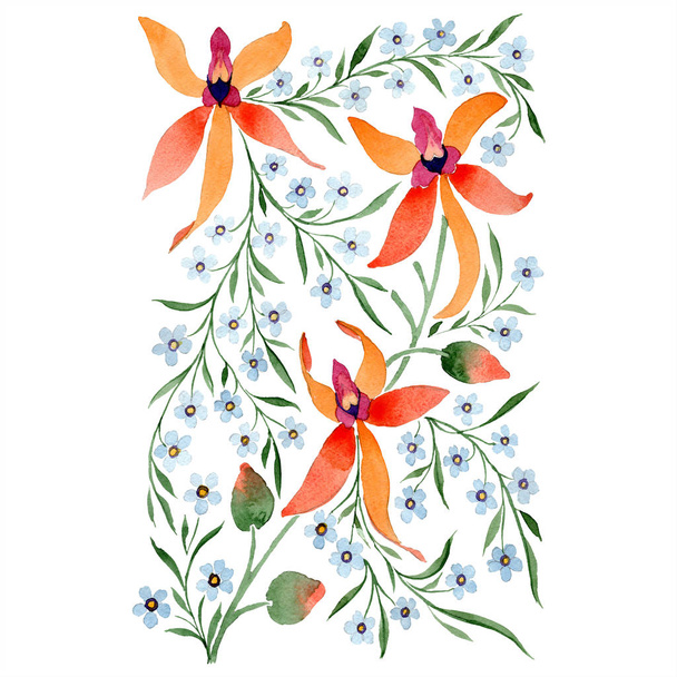 Μπλε και πορτοκαλί λουλούδια. Ακουαρέλα σχέδιο του φόντου με ορχιδέες και ξεχνάς έχοντες. - Φωτογραφία, εικόνα