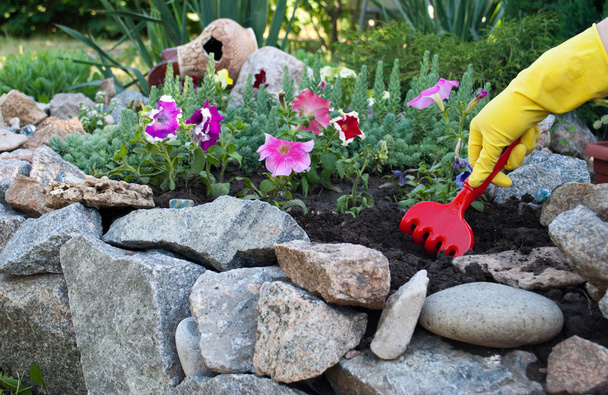 Czerwone plastikowe grabie w ręce w żółty gumowe rękawice, wiosna pracy na ziemi bagrowania, poluzowanie sadzenia kwiatów przed łóżko z kamienia naturalnego, petunia kwiaty, trawa zielona słoneczny dzień wiosny odpoczynek piękna - Zdjęcie, obraz