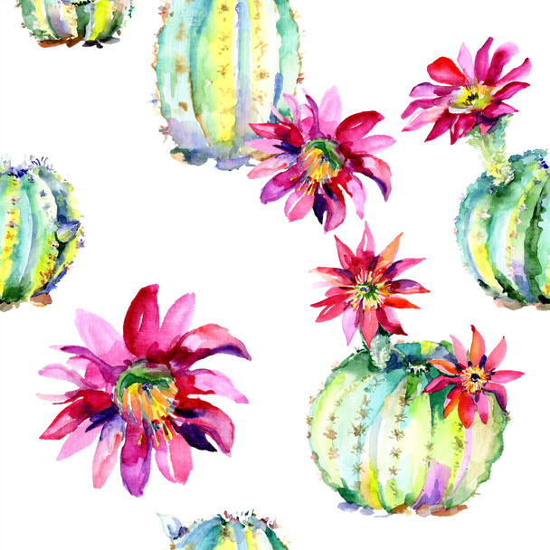 Green cacti with pink flowers. Watercolor seamless background pattern.  - Foto, Imagem