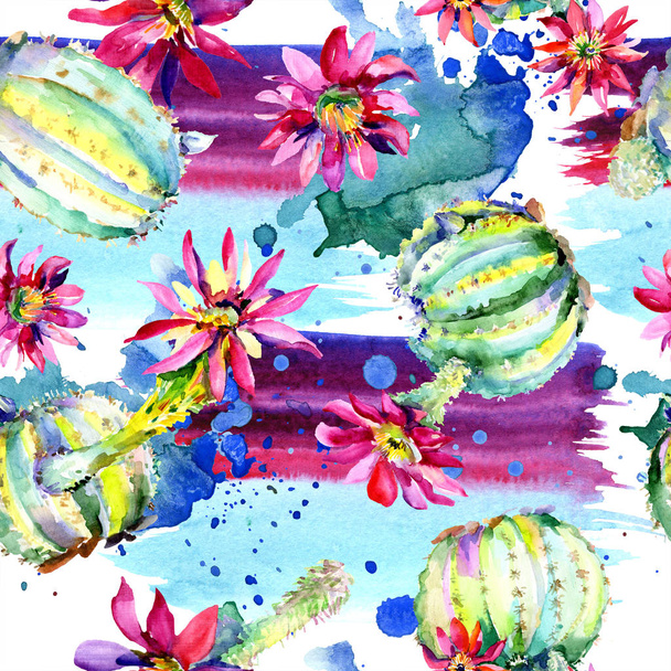 Green cacti with pink flowers. Watercolor seamless background pattern.  - Foto, Imagen