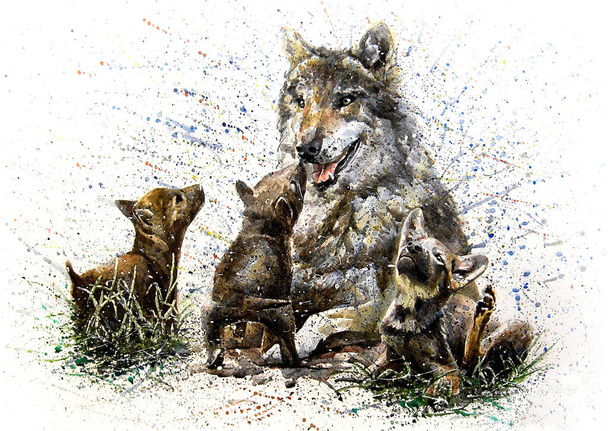 Lupo famiglia acquerello pittura fauna selvatica animali bambini
 - Foto, immagini