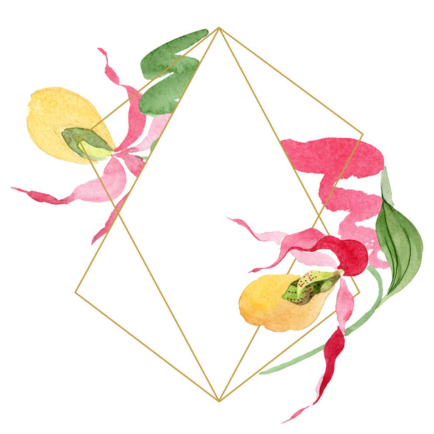 señora zapatilla orquídeas acuarela marco ilustración aislado en blanco con espacio de copia
 - Foto, imagen