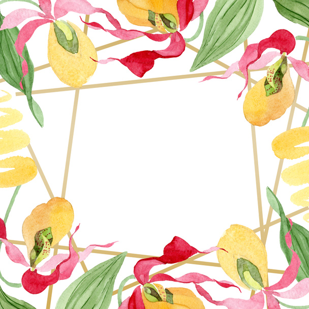 Lady slipper orchideeën aquarel frame illustratie geïsoleerd op wit met kopie ruimte - Foto, afbeelding