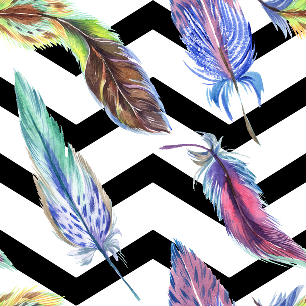 Colorful feathers with abstract lines on white background. Seamless background pattern. Fabric wallpaper print texture. - Photo, image