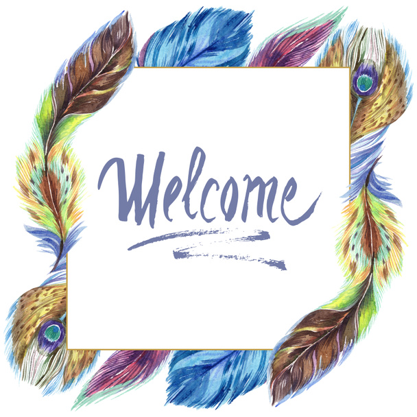 Colorful watercolor feathers isolated on white illustration. Frame border ornament with welcome lettering. - Foto, immagini